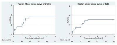 Long-Term Outcomes After Implantation of Magnesium-Based Bioresorbable Scaffolds—Insights From an All-Comer Registry